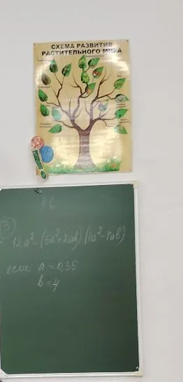 Вычислите значение выражения 12a^2(5a^2 + 2ab)(10a^2 - 4ab), если a = 0,35, b = 4