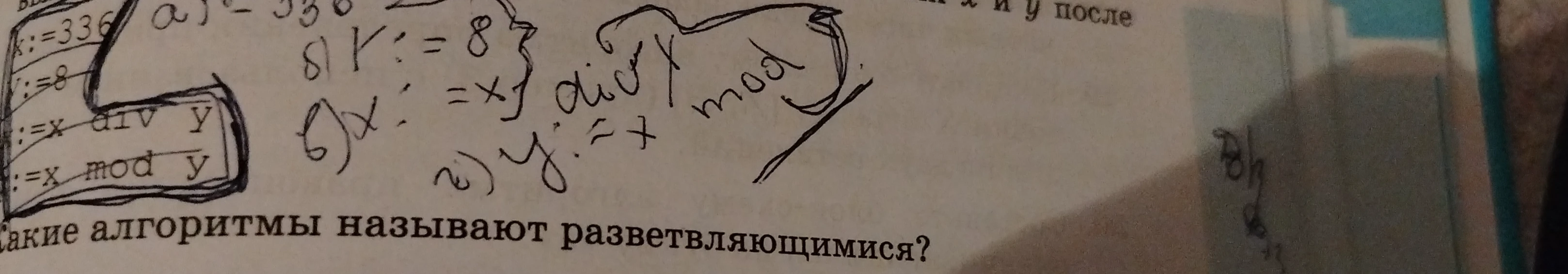 Какие алгоритмы называют разветвляющимися?