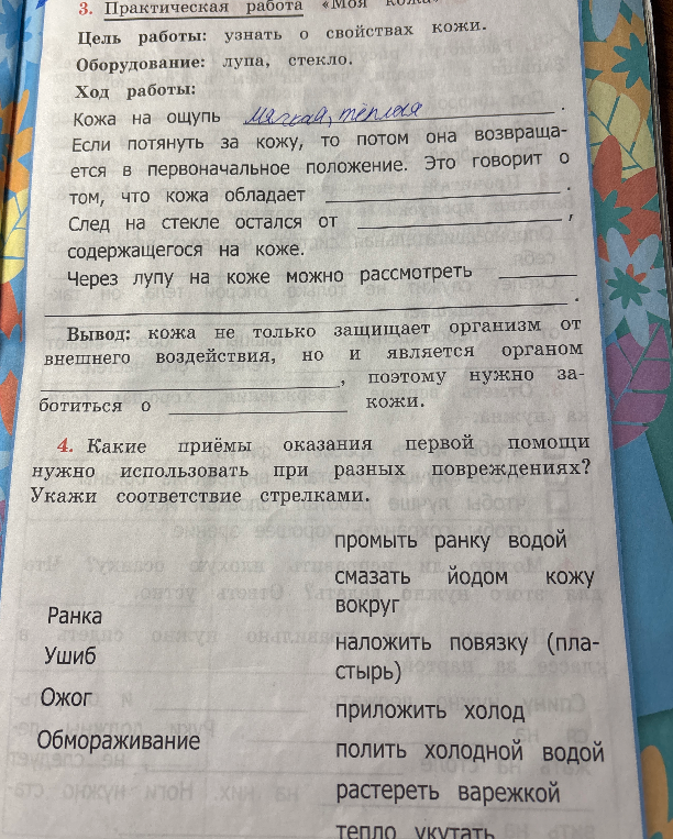 3. Практическая работа «Моя кожа». Цель работы: узнать о свойствах кожи.