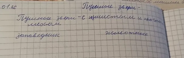 Пушные звери — с ценнистым и прочным мехом