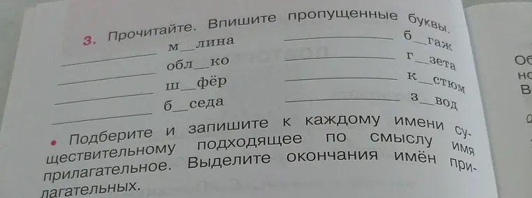 Прочитайте. Впишите пропущенные буквы. Подберите и запишите к каждому имени существительному подходящее по смыслу имя прилагательное. Выделите окончания имён прилагательных.