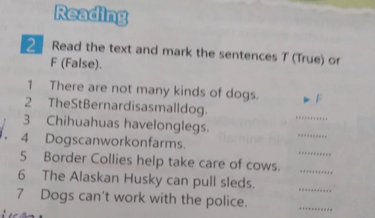 Read the text and mark the sentences T (True) or F (False).