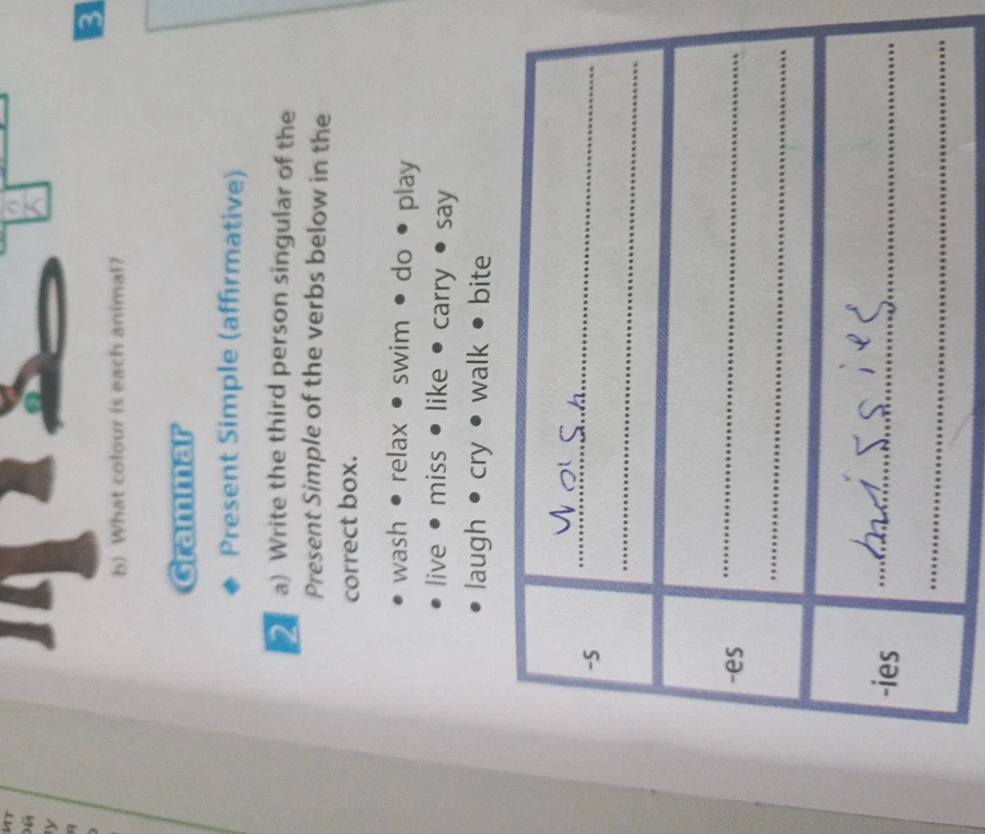 Write the third person singular of the Present Simple of the verbs below in the correct box.