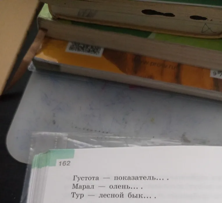 333. Дополните словесное описание — толкование слов так, чтобы было понятно, о чём или о ком идёт речь.