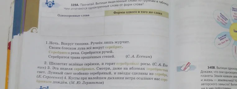 339А. Прочитай. Выпиши выделенные слова по группам в таблицу. Чем отличаются однокоренные слова от форм слова?
