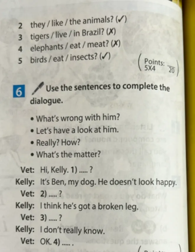 Use the prompts to write questions and answers as in the example. Use the sentences to complete the dialogue.
