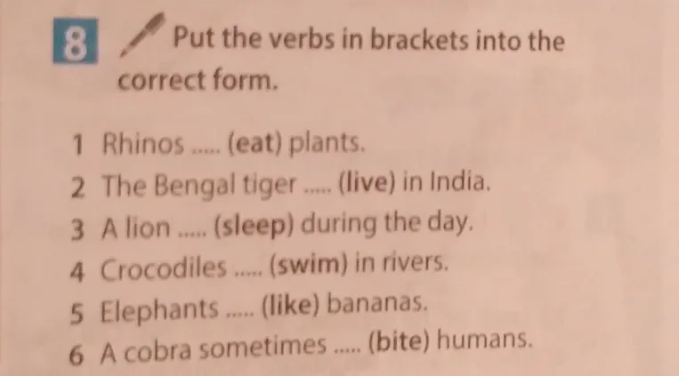 Put the verbs in brackets into the correct form.