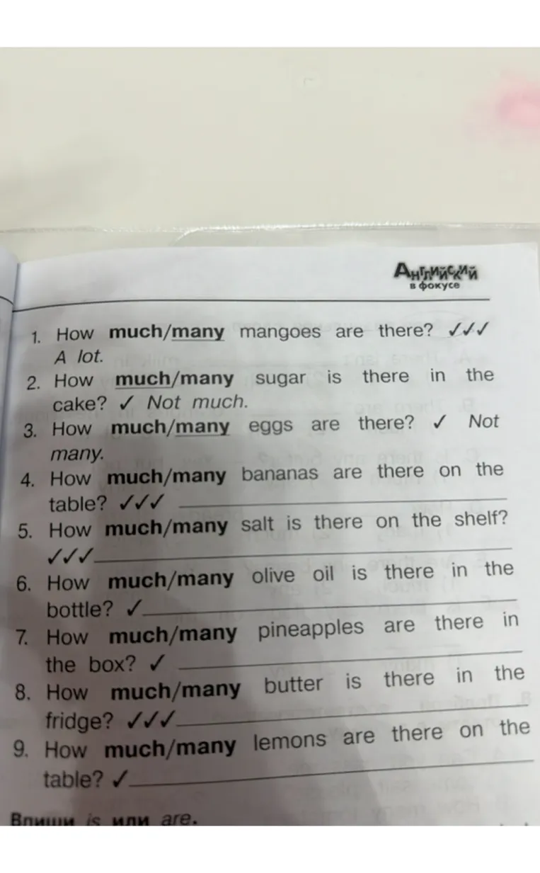 How much/many mangoes are there? A lot. Выберите правильное слово much или many и допишите ответы, ориентируясь на количество галочек.