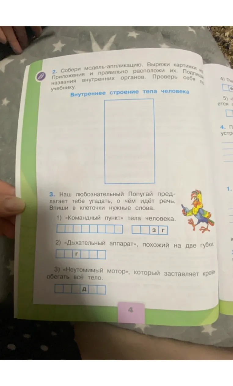 Наш любознательный Попугай предлагает тебе угадать, о чём идёт речь. Впиши в клеточки нужные слова.