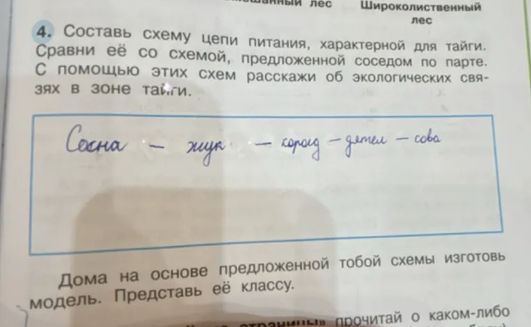 Составь схему цепи питания, характерной для тайги.