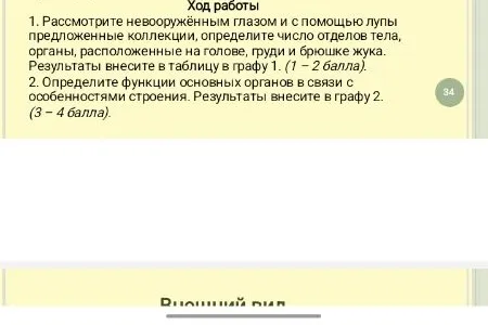 Рассмотрите невооружённым глазом и с помощью лупы предложенные коллекции, определите число отделов тела, органы, расположенные на голове, груди и брюшке жука.
