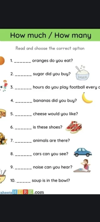 Read and choose the correct option: How much / How many