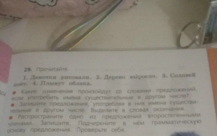 Запишите предложения, употребляя в них имена существительные в другом числе. Выделите в словах окончания.
