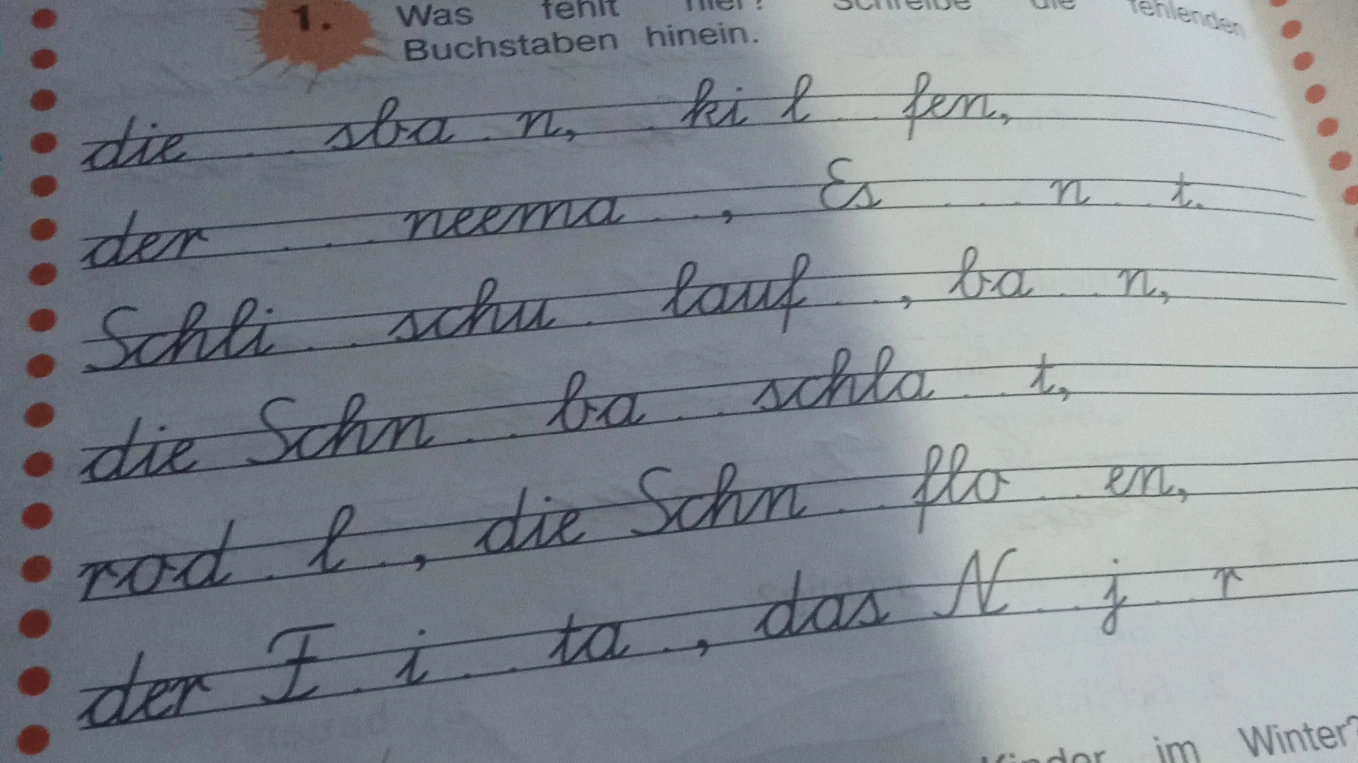 Was fehlt hier? Schreibe die fehlenden Buchstaben hinein.