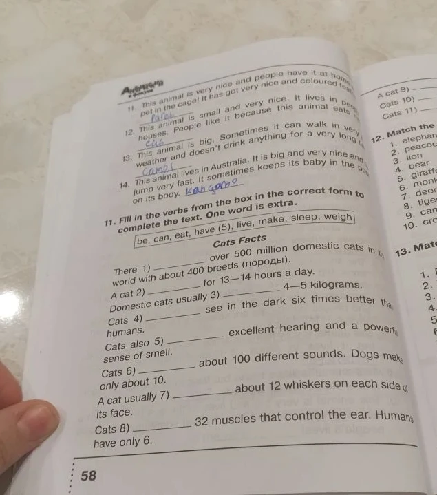Fill in the verbs from the box in the correct form to complete the text. One word is extra.