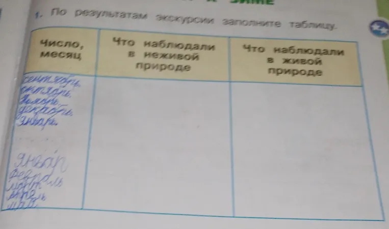 По результатам экскурсии заполните таблицу.