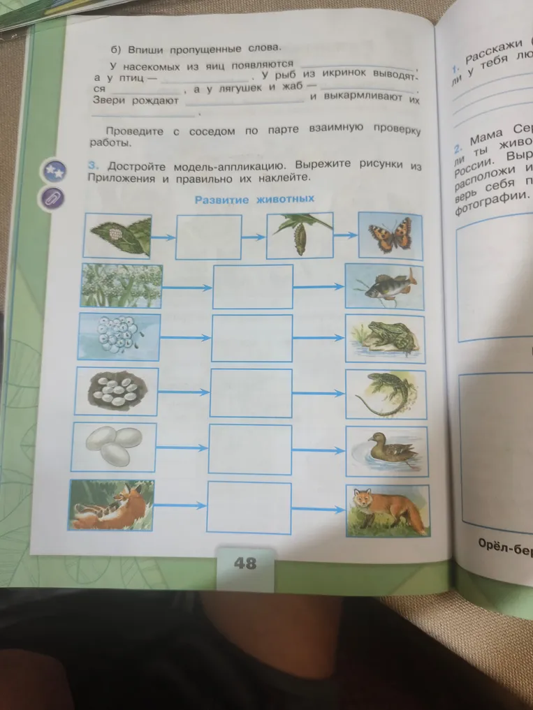 Впиши пропущенные слова. У насекомых из яиц появляются... Достройте модель-аппликацию. Вырежите рисунки из Приложения и правильно их наклейте.
