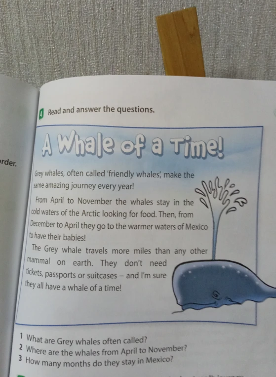 Read and answer the questions: 1 What are Grey whales often called? 2 Where are the whales from April to November? 3 How many months do they stay in Mexico?