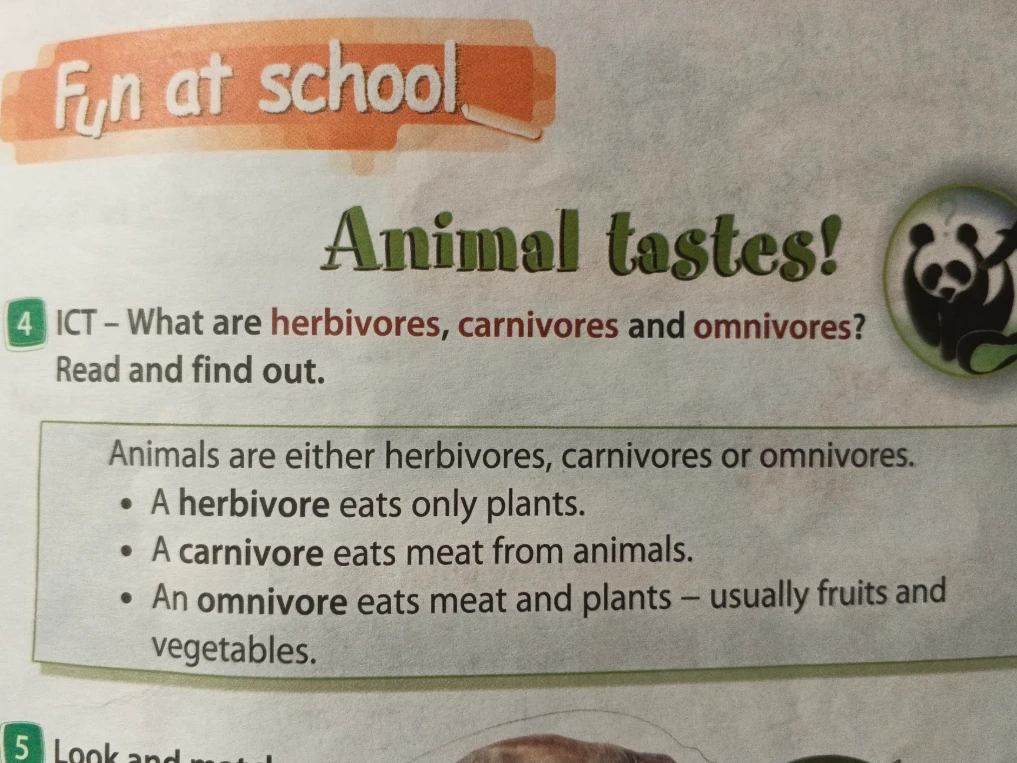 What are herbivores, carnivores and omnivores?