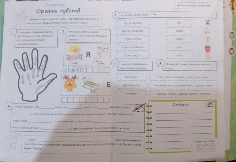 Заполни задания по теме 'Органы чувств'