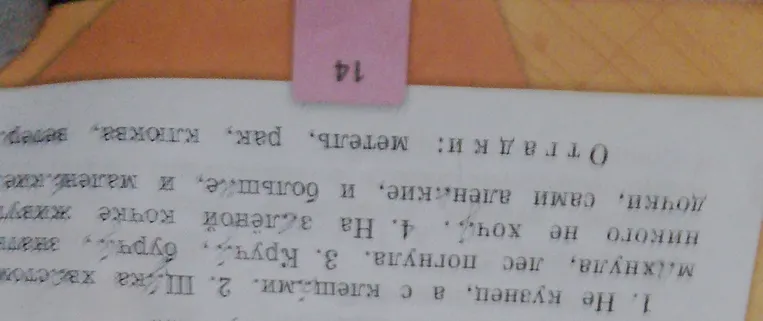 Соотнесите загадки с отгадками: 1. Не кузнец, а с клещами. 2. Шубка хвостиком махнула, лес погнула. 3. Кручу, бурчу, знать никого не хочу. 4. На зелёной кочке живут дочки, сами аленькие, и большие, и маленькие.