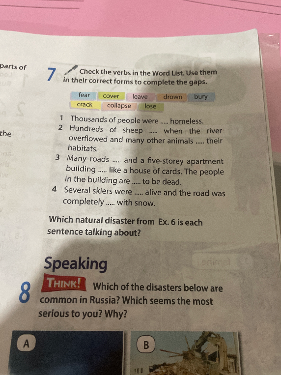 Check the verbs in the Word List. Use them in their correct forms to complete the gaps.
