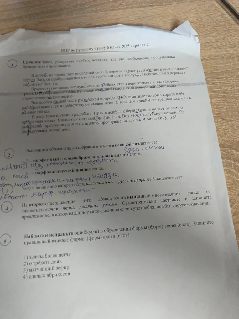 Спишите текст, раскрывая скобки, вставляя, где это необходимо, пропущенные буквы и знаки препинания.