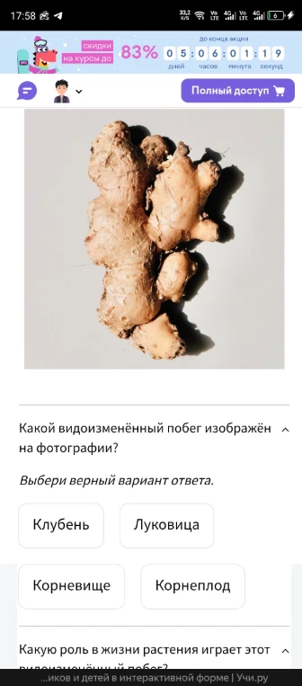 Какой видоизменённый побег изображён на фотографии?