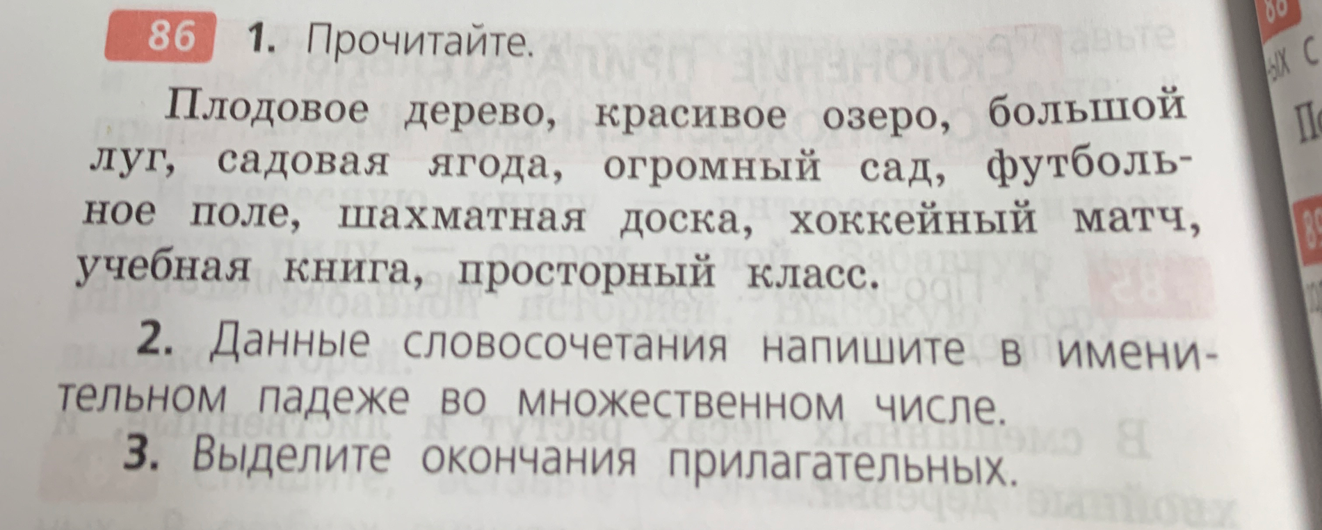 Данные словосочетания напишите в именительном падеже во множественном числе. Выделите окончания прилагательных.