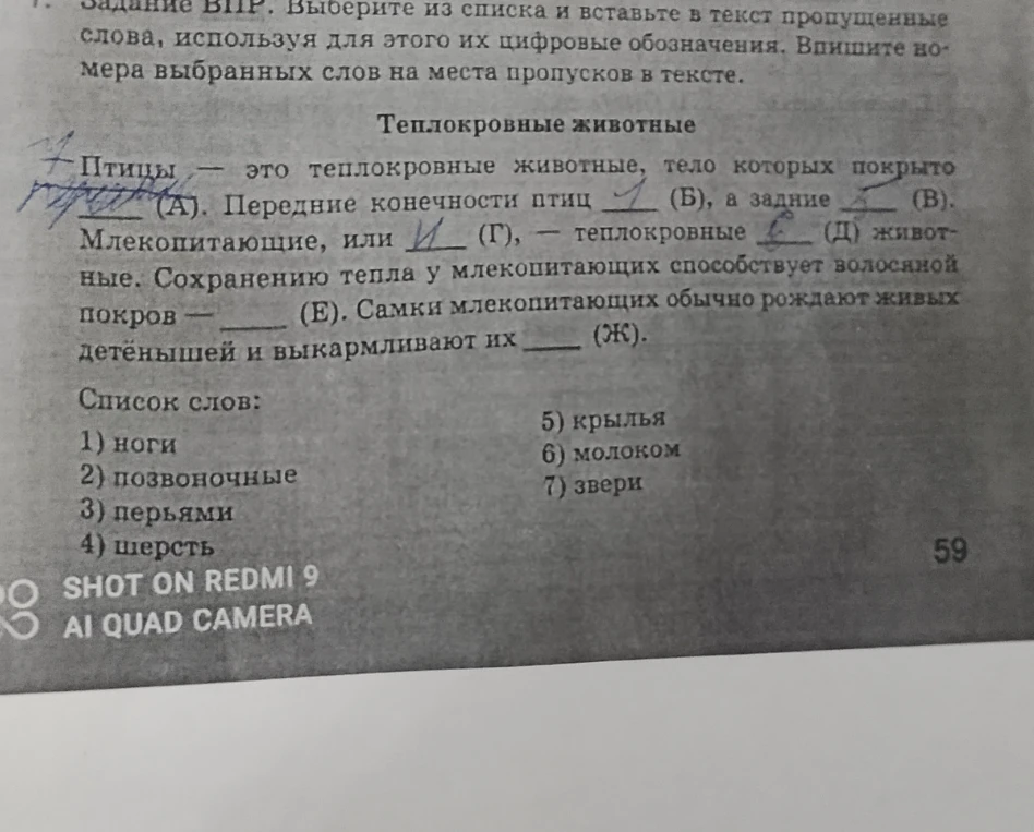 Выберите из списка и вставьте в текст пропущенные слова, используя для этого их цифровые обозначения.