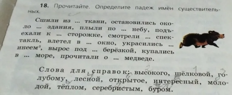 Прочитайте. Определите падеж имён существительных.