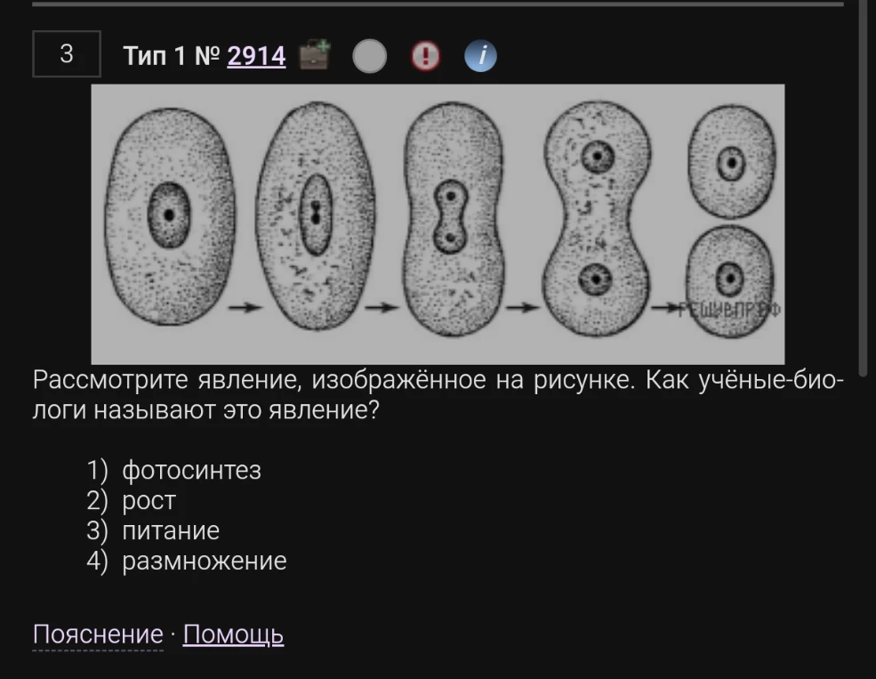 Рассмотрите явление, изображённое на рисунке. Как учёные-биологи называют это явление?