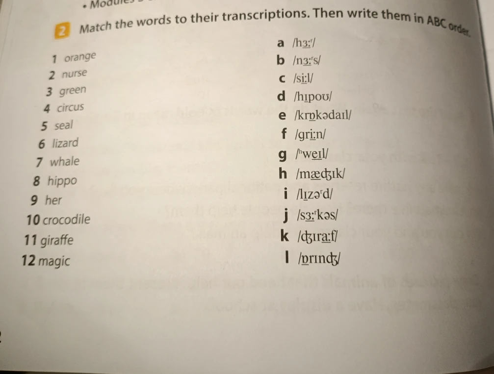 Match the words to their transcriptions. Then write them in ABC order.