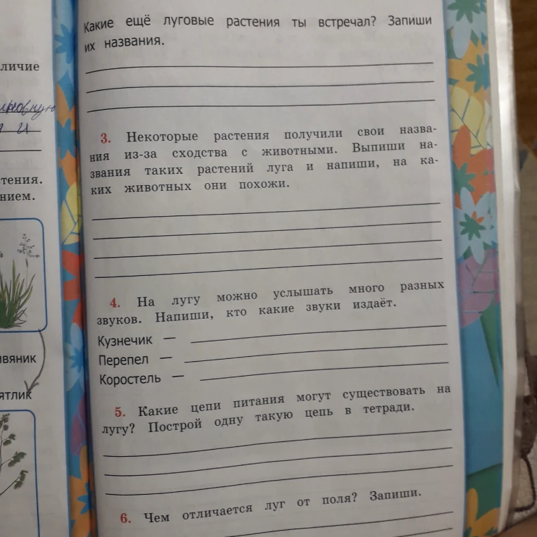 Некоторые растения получили свои названия из-за сходства с животными. Выпиши названия таких растений луга и напиши, на каких животных они похожи.