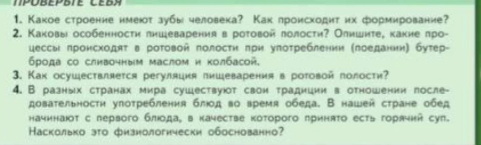 Какое строение имеют зубы человека? Как происходит их формирование?