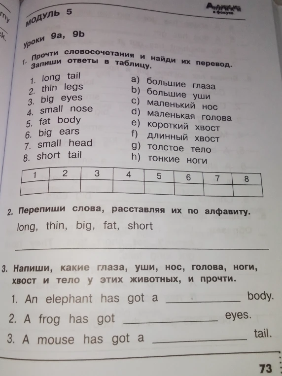 Прочти словосочетания и найди их перевод. Запиши ответы в таблицу.