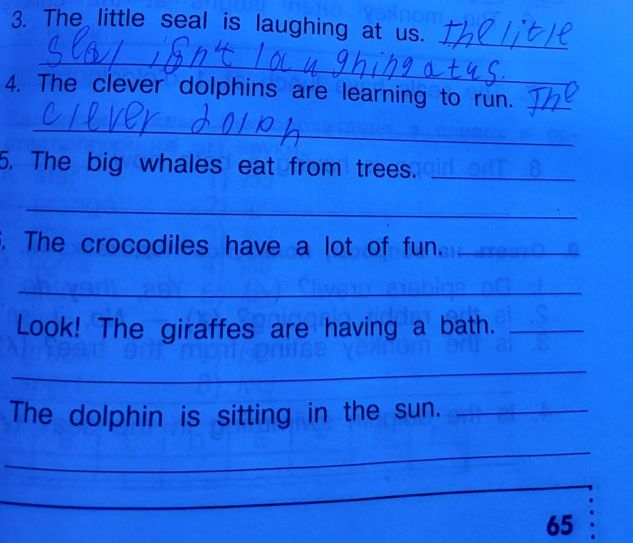 The clever dolphins are learning to run.