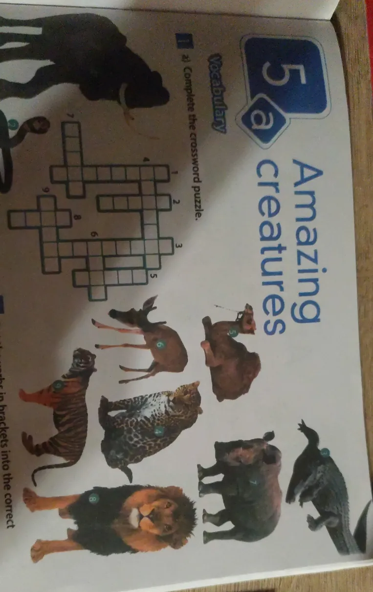 Complete the crossword puzzle.