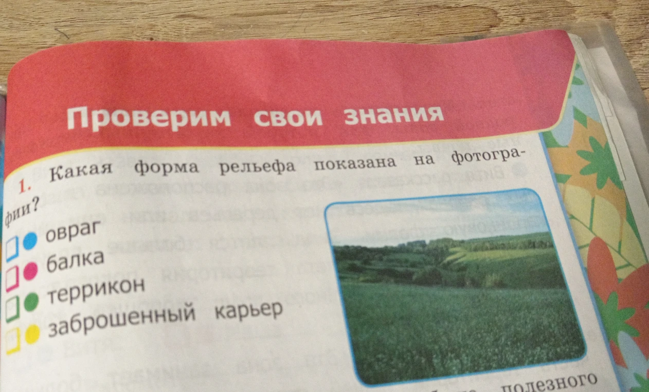 Какая форма рельефа показана на фотографии?