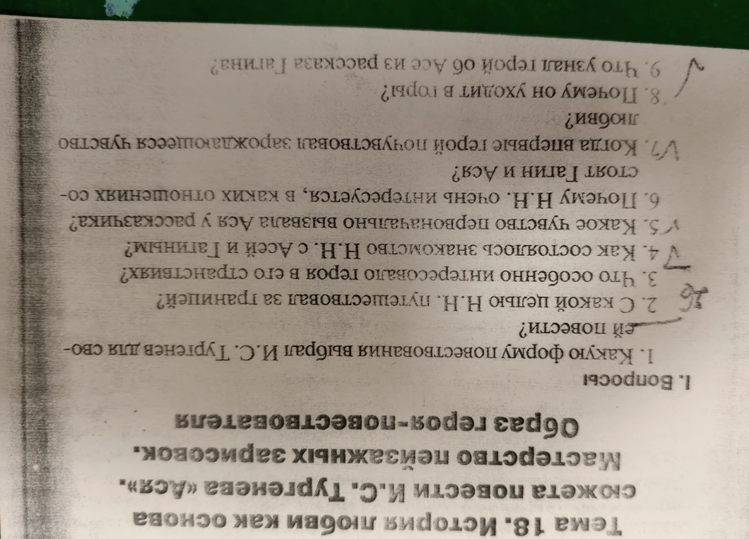 Ответьте на вопросы по повести И.С. Тургенева «Ася»