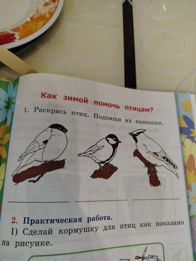 Раскрась птиц. Подпиши их названия.