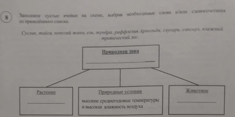 Заполните пустые ячейки на схеме, выбрав необходимые слова и/или словосочетания из приведённого списка.