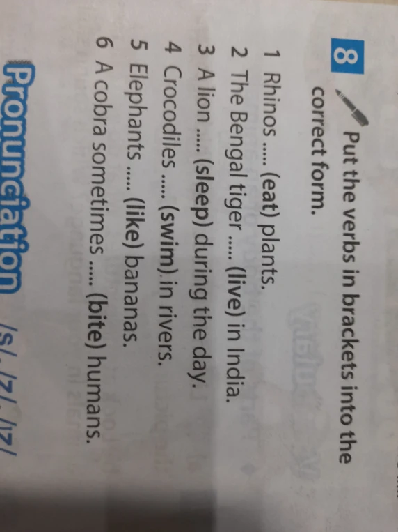 Put the verbs in brackets into the correct form.