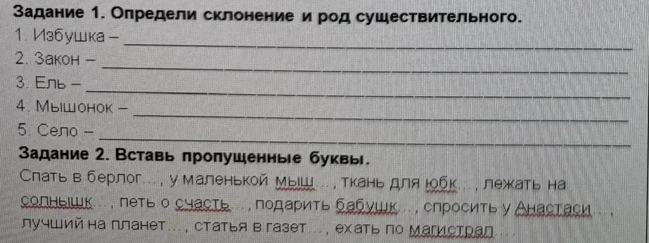 Задание 1. Определи склонение и род существительного. Задание 2. Вставь пропущенные буквы.
