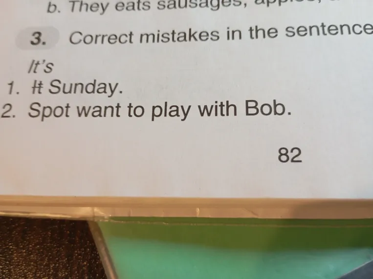 Correct mistakes in the sentences: 1. It's Sunday. 2. Spot want to play with Bob.