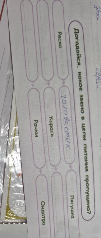 Догадайся, какое звено в цепи питания пропущено?