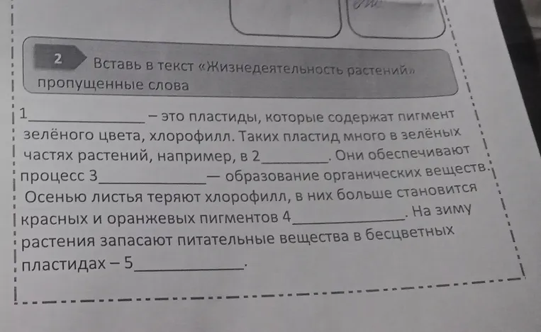 Вставь в текст «Жизнедеятельность растений» пропущенные слова.