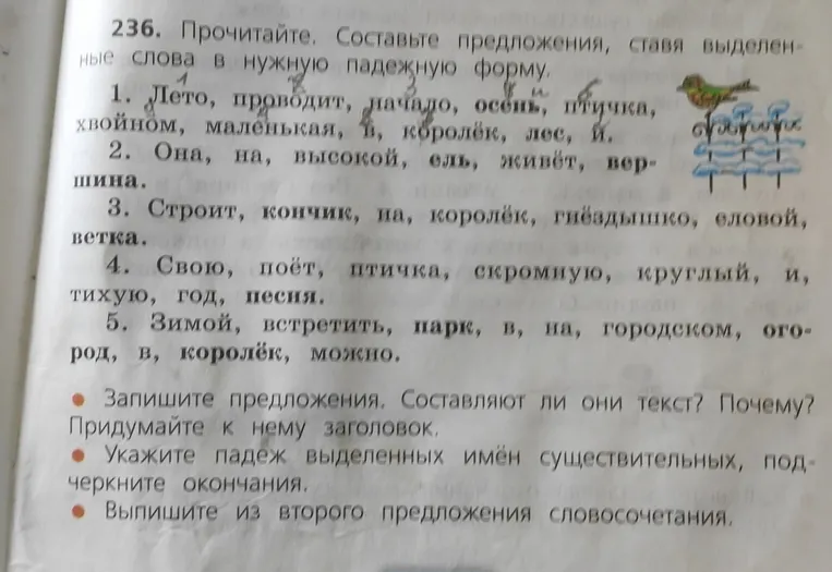 236. Прочитайте. Составьте предложения, ставя выделенные слова в нужную падежную форму.
