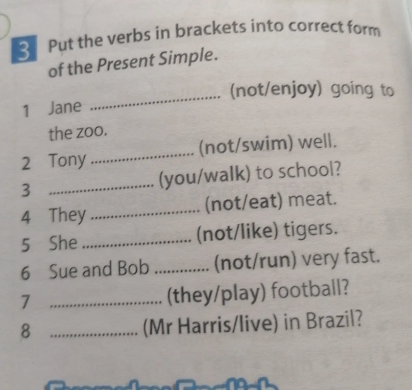Put the verbs in brackets into correct form of the Present Simple.