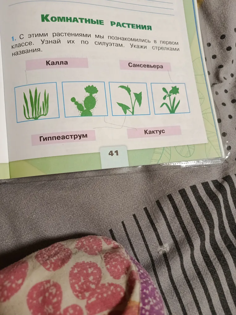Силуэты каких цветов на картинке
